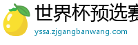 世界杯预选赛亚洲区